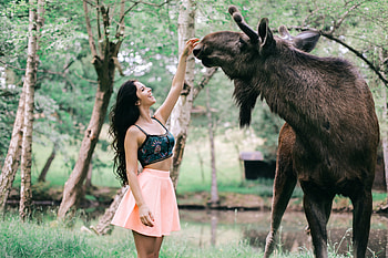 Petting a Friendly Moose, outdoors, model, moose, brunette HD wallpaper