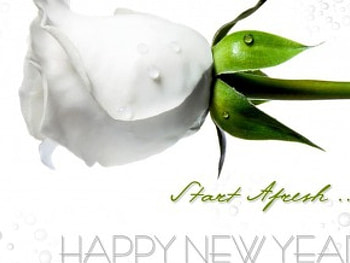 Happy New Year, rose, start afresh, white HD wallpaper