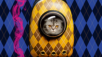 Lisa Frankenstein Inspired Cat, movie, Lisa Frankenstein HD wallpaper