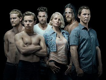 Animal Kingdom, animal-kingdom, tv-shows HD wallpaper
