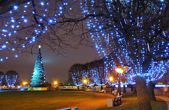 Christmas in Town, trees, houses, place, lights HD wallpaper