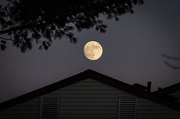 A full moon illuminating the night sky above a silhouetted house with trees. HD wallpaper