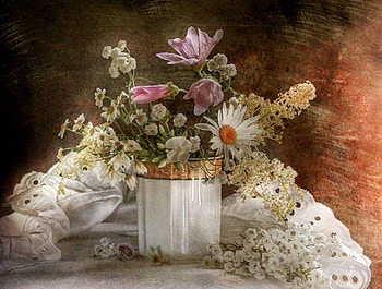 Still life, composition, plants, nature, flowers, flora HD wallpaper