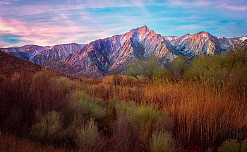 Nature, Grass, Sky, Mountains, Reeds HD wallpaper