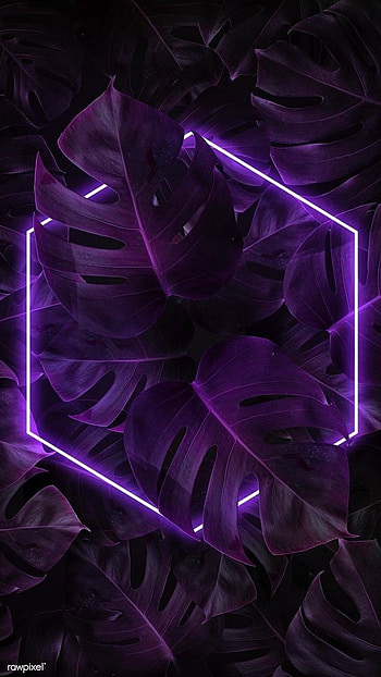 Colorful, neon HD phone wallpaper