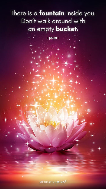 Rumi, petal, quote, liquid HD phone wallpaper