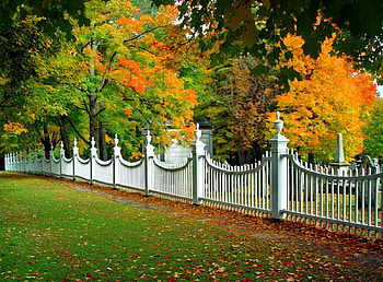 Autumn comes, beautiful, nice, leaves, autumn summer, pretty, fence, branches, trees, nature, calm, lovely, forest HD wallpaper