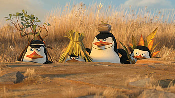 Madagascar movie, Boss , Adorable HD wallpaper