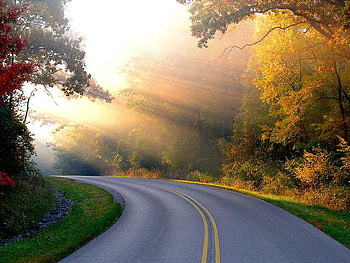 Sunset Road, trees, road, fantasy, sunset HD wallpaper