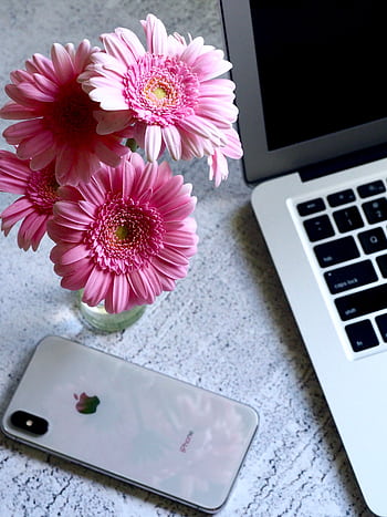 A modern workspace featuring pink gerbera flowers, a laptop, and a smart on a textured desk. HD phone wallpaper
