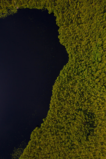 Lake, trees, aerial view, edges of lake HD phone wallpaper