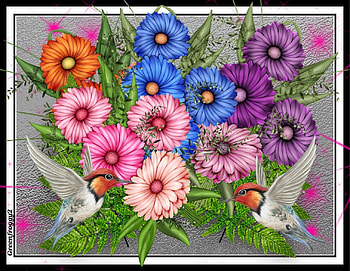 DAISIES AND HUMMINGBIRDS, BIRDS, ART, FLOWERS, ABSTRACT HD wallpaper