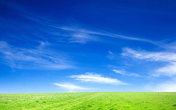 Blue Sky and Green Grass thumb HD wallpaper