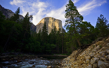 El Capitan, trees, sky, beautiful, forest, hill, tree, mountain HD wallpaper
