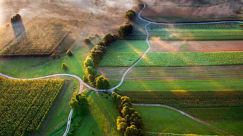 Aerial View Of Road Between Green Trees Grass Field Bushes Farm With Sunlight Nature HD wallpaper
