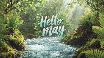 Hello May — Mossy Stream ( Quad ), Nature HD wallpaper