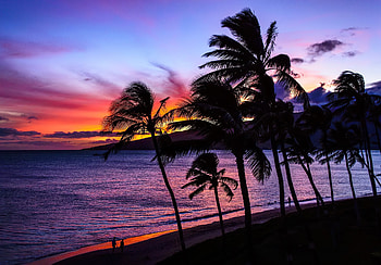 Hawaiian sunset, colorful, palms, sea, tropics, coast, tropical, paradise, beautiful, beach, summer, wind, Hawaii, sky, evening, sunset, ocean HD wallpaper