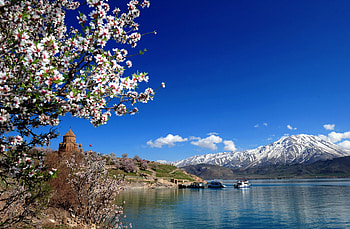 Blossoms On The Lake, snowy peaks, navies, beautiful, grass, spring, lake, blue sky, tower, trees, flowers, mountains HD wallpaper