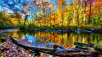 Hazel Creek, Great Smoky Mountains, North Carolina, fall, trees, colors, sky, water, reflections, usa, landscape, leaves, autumn HD wallpaper