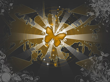 Vector Butterfly World, butterflies, wings, gray, butterfly, yellow, vector HD wallpaper