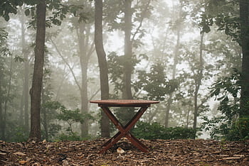 A wooden table stands alone in a foggy forest, surrounded by dense trees and mist. HD wallpaper