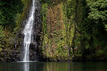 Equatorial Guinea, African markets, United States Department, Travels HD wallpaper