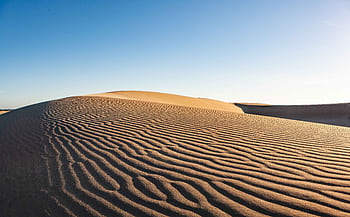 Beautiful sand dunes in Florence, Oregon showcasing serene, undulating patterns under a clear blue sky. HD wallpaper
