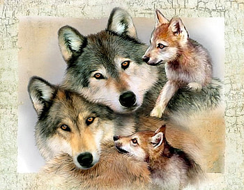 By Howard Robinson, animal, cub, painting, art, family, howard robinson, wolf HD wallpaper