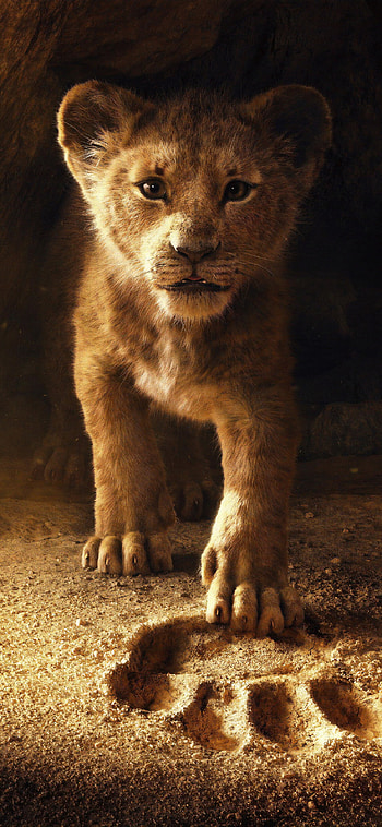 The Lion King 2019, The Lion King HD phone wallpaper