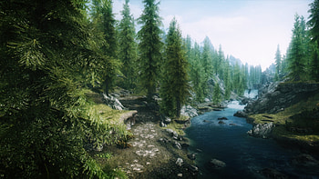 Forest Skyrim Forest, Skyrim, Elder, Scrolls, V .. HD wallpaper