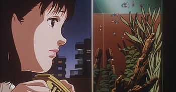 Mima's fish, Perfect Blue HD wallpaper