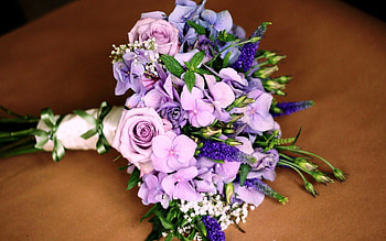 Flowers, Roses, Registration, Typography, Greens, Bouquet, Hydrangea HD wallpaper