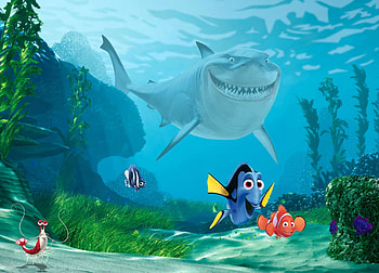 Nemo, Wall Murals, Premium, Buy HD wallpaper