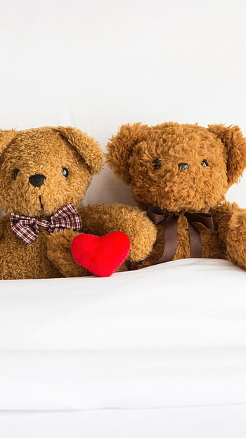 Teddy Wale, Love, Romantic HD phone wallpaper