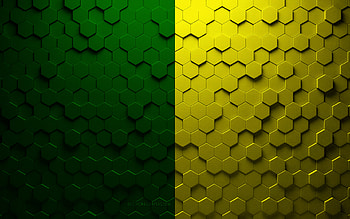 Flag of Leitrim, honeycomb art, Leitrim hexagons flag, Leitrim 3d hexagons art, Leitrim flag HD wallpaper