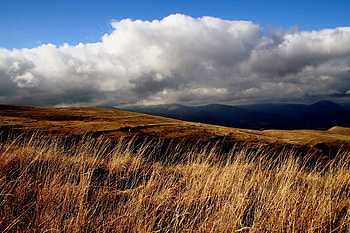Nature, Grass, Sky, Clouds, Field HD wallpaper