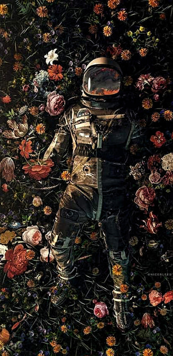 Astronaft, cosmos, life HD phone wallpaper