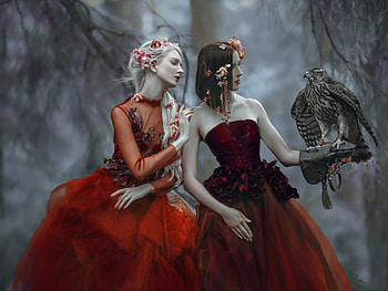 Wondering, model, hawk, bird, Agnieszka Lorek, pasare, girl, dress, woman, tale, red, couple HD wallpaper