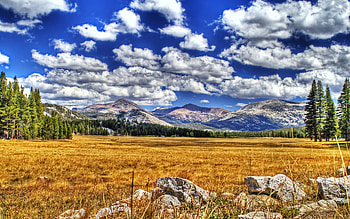Landscape, colors, beautiful, grass, clouds, trees, nature, sky, mountains HD wallpaper