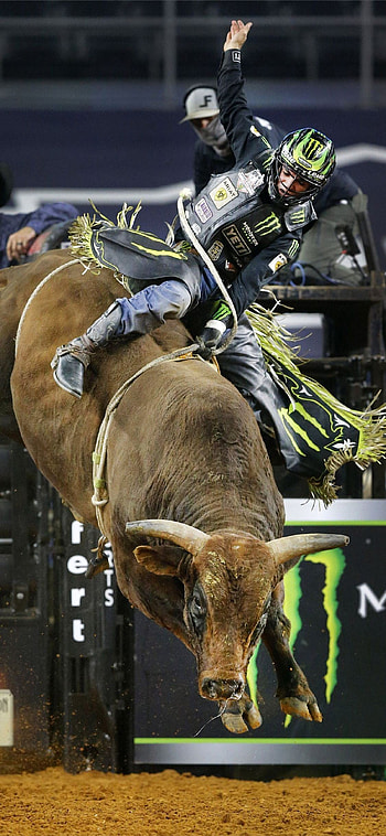 Best bull riding scenes, , Spectacular stunts, Intense competition HD phone wallpaper