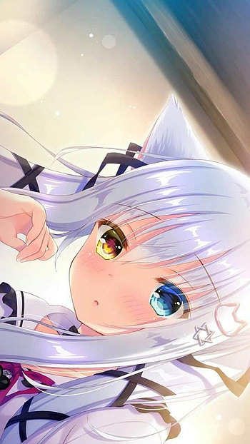 Anime neko, heterochromia, Anime, girl, anime girl HD phone wallpaper