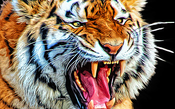 tiger, fury, wild cats, , vector art, tiger drawing, tiger eyes, creative art, tiger art, vector drawing, abstract animals, fury concepts HD wallpaper