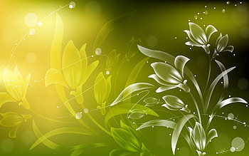 Abstract, Flowers, Patterns, Shine, Light, Brilliance HD wallpaper