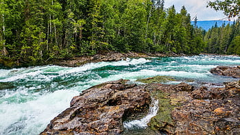 A vibrant river flows through a lush green forest, showcasing nature's beauty. HD wallpaper