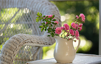 Beautiful Day, chair, graphy, roses, pink rose, beautiful, summer, pitcher, lovely HD wallpaper
