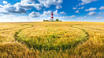 Landscape, farm, lighthouse, sunny day HD wallpaper