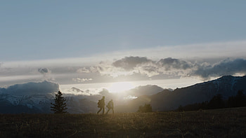 TV Show, The Last Of Us HD wallpaper