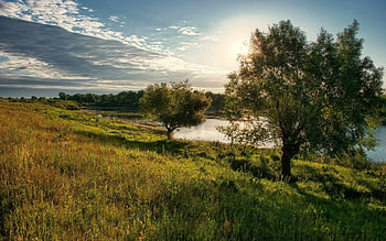 Nature, Trees, Sky, Sun, Clouds, Lake, Shore, Bank, Shine, Light, Shadows, Polyana, Glade, Noon HD wallpaper