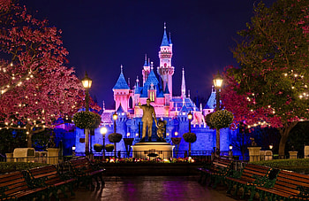 Disneyland, , Michelle Peltier HD wallpaper