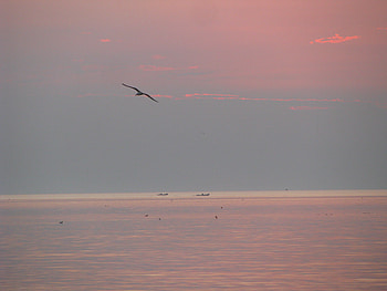 sunrise over the Black Sea, sea, nature, romania, sunrise HD wallpaper